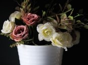 От качества воды зависит качество роста и цветения растений