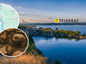 Коллаж "Телеграфа"