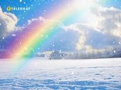 Удивительный знак природы (фото создано с помощью ИИ)