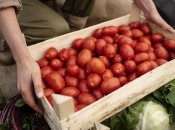 У томатів на грядці є погані сусіди