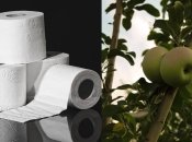 Простий спосіб укорінити дерево