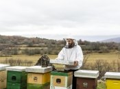 Осінь – важливий час для бджіл, але біля будинку їм не місце