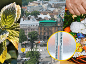 Заморозки у місті будуть ближче до свята