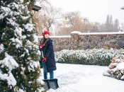 Є свої особливості догляду за газоном взимку