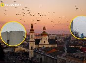 Вороны над собором в Виннице
