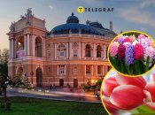 Где дешевле в Одессе купить цветы до 8 марта