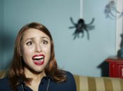 Павукам не місце у будинку