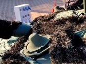 РЭБ Волнорез