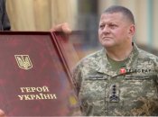 Валерий Залужный давно заслужил звание Героя Украины, считают авторы петиций