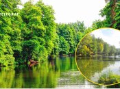 Озеро Горащиха