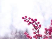 Погода в Украине на январь