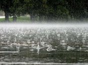 Май окажется богатым на осадки