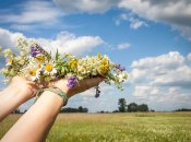 Летом ожидается переменная погода