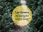 Где в Киеве можно приобрести елку: адреса елочных ярмарок столицы