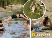 Колаж "Телеграфу"