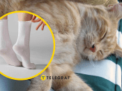 В жаркую погоду может быть сложно высыпаться