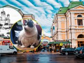 Новый рынок в Одессе