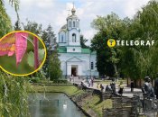 Редкое насекомое увидели в Полтавской области