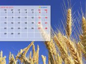 Календарь праздников и выходных на июль 2024 года