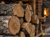 Для опалення краще купувати дрова з твердих порід