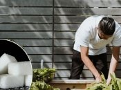 В саду некоторые насекомые могут навредить растениям