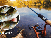 Рыбак поймал необычную рыбу