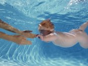 Зачем нужно грудничковое плавание младенцу и его родителям