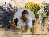 Засушені квіти вдома принесуть біду