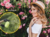 Чим побризкати троянди від попелиці