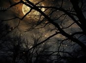 Луна всегда взбудораживала воображение наших предков