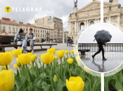 Заморозков во Львове не предполагается, только дожди