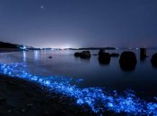Світіння моря