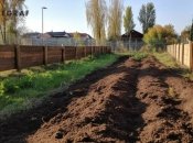 Засуха - не вирок, коли знаєте, що робити