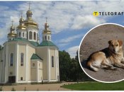 Собор святых апостолов Петра и Павла