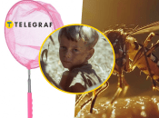 Жизнь в СССР