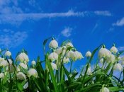 Прогноз погоды на март