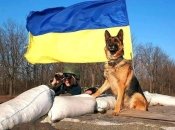Украинцы отбили много атак за сутки и сами местами контратаковали
