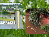 Колаж "Телеграфу"