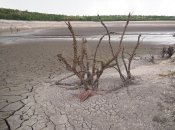 Наслідки підриву росіянами Каховської ГЕС