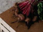 "Правила" посадки свеклы на зиму