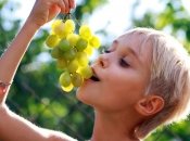 Как выбирать виноград (видео)