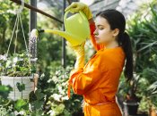 Цветы нужно поливать