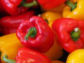 Список эффективных удобрений для перца