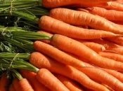 Оранжевые овощи помогут детям вырасти