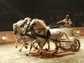 Гонки на колісницях