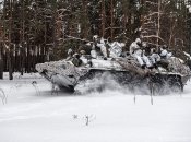 Украинские воины