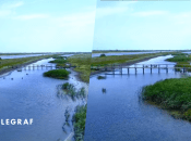 Білосарайська коса в окупації