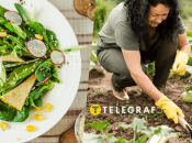 Полезный сорняк на огороде