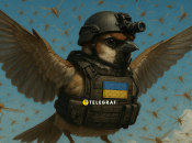 Воробьи vs саранча — кто победит?