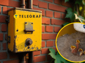 Колаж "Телеграфу"